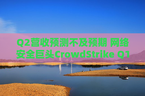 Q2营收预测不及预期 网络安全巨头CrowdStrike Q1绩后暴跌6%