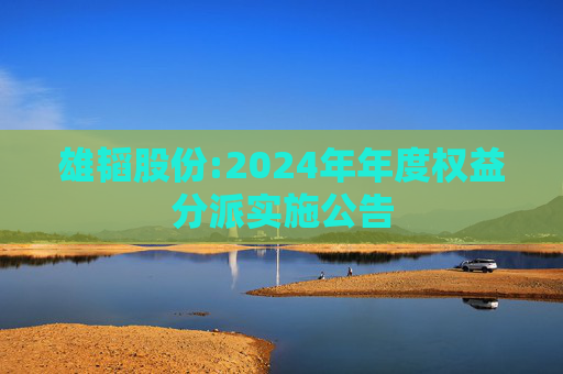 雄韬股份:2024年年度权益分派实施公告