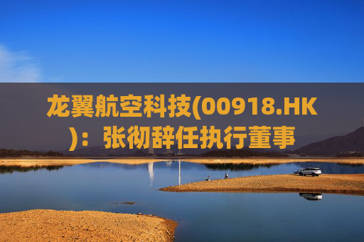 龙翼航空科技(00918.HK)：张彻辞任执行董事