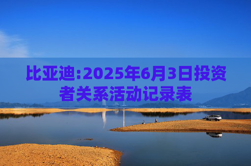 比亚迪:2025年6月3日投资者关系活动记录表