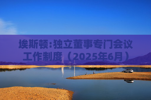 埃斯顿:独立董事专门会议工作制度（2025年6月）