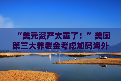 “美元资产太重了！”美国第三大养老金考虑加码海外投资
