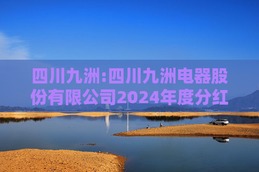 四川九洲:四川九洲电器股份有限公司2024年度分红派息实施公告  第1张