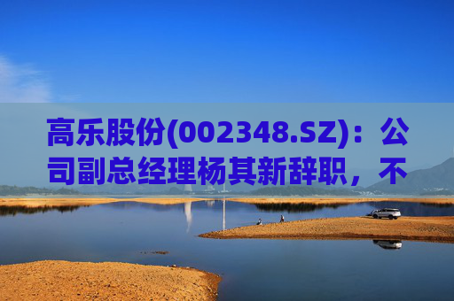 高乐股份(002348.SZ)：公司副总经理杨其新辞职，不再担任公司及控股子公司任何职务  第1张