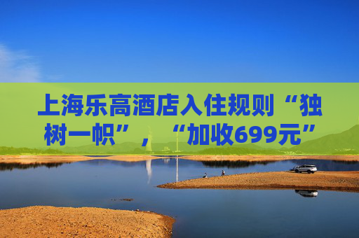 上海乐高酒店入住规则“独树一帜”，“加收699元”引质疑