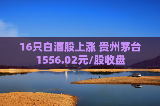 16只白酒股上涨 贵州茅台1556.02元/股收盘