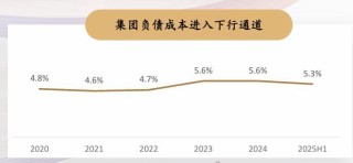 千亿级别净资产 VS 280亿市值：NAV视角下复星的\"黄金坑\"机会