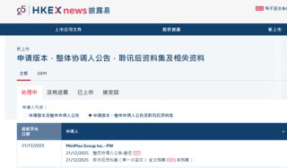 4年从0到上市，MiniMax或创下AI最快IPO纪录，现金储备超11亿美元！