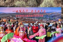 河北青龙：“花事”变“花市” 梨花盛景催生山乡产业新活力