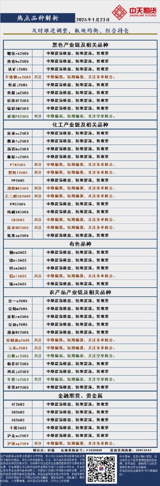 中天策略:1月23日市场分析