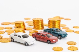 如何为养海参进行合理投保？这种投保方式有哪些风险评估？