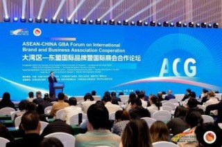 多元共议，2025大湾区―东盟经济合作（前海）论坛探讨区域合作新动能