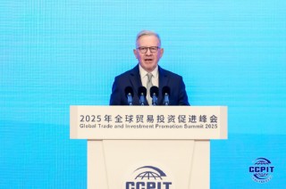 英中贸易协会主席：中国在成为全球最大经济体的道路上坚定前行