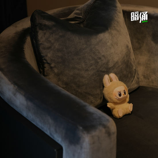 泡泡玛特上市前，我们对王宁的一次未公开访谈  第1张