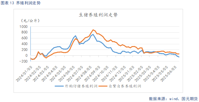 【生猪半年报】供给端持续施压 季节性反弹可期  第15张
