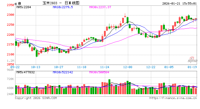 年度盘点：2025年饲料玉米需求增量，2026年存减少预期  第2张