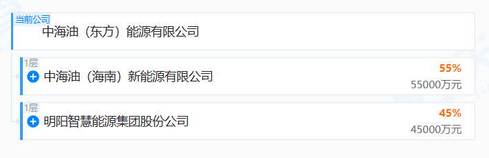 中国海油猛攻风电：这不是转型，是降维打击！  第4张