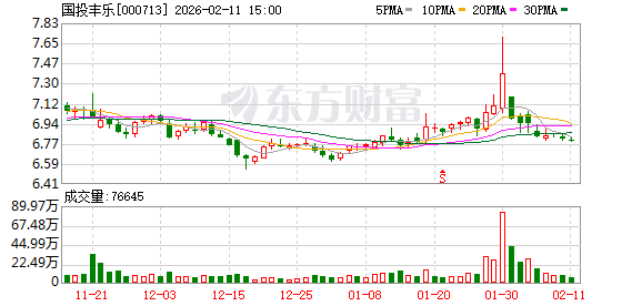国投丰乐：截至2026年2月10日，公司股东人数61259户  第1张