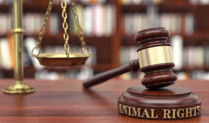 证监会一日下发6份罚单、4家被立案，4类隐匿伎俩踩入监管红线  第1张